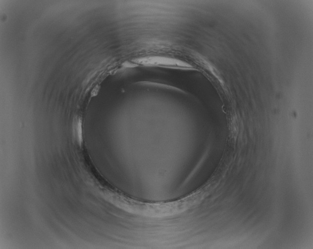 X0000077320027200611101509