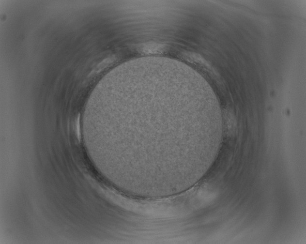 X0000077320028200611101509