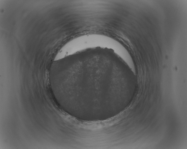 X0000077320029200611101509