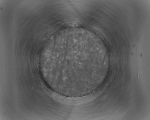 X0000077320030200611101509