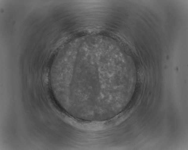 X0000077320032200611101509