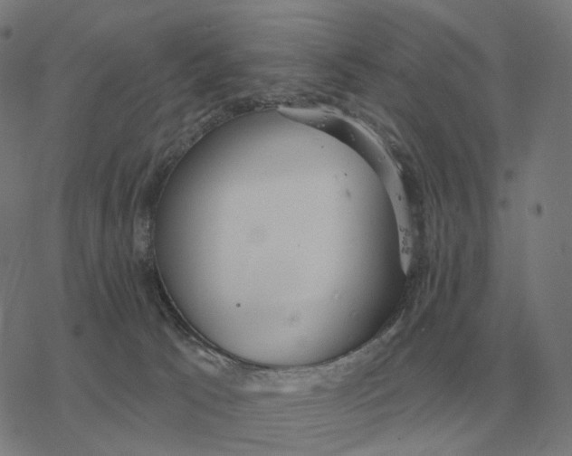 X0000077320033200611101509