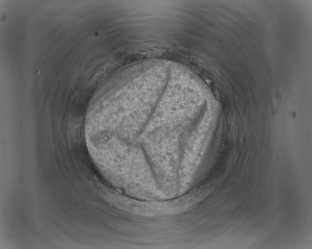 X0000077320034200611101509