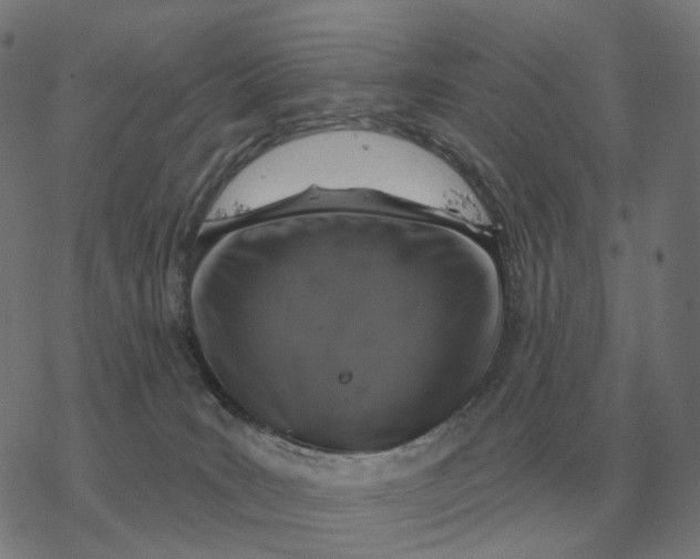 X0000077320035200611101509