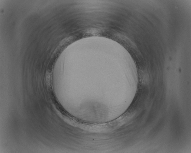 X0000077320036200611101509