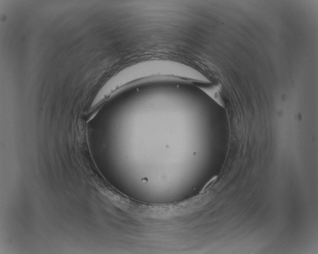 X0000077320037200611101509