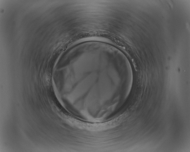 X0000077320039200611101509