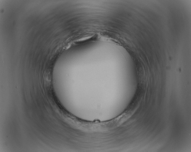 X0000077320040200611101509