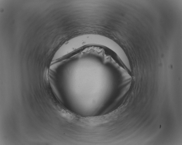 X0000077320041200611101509