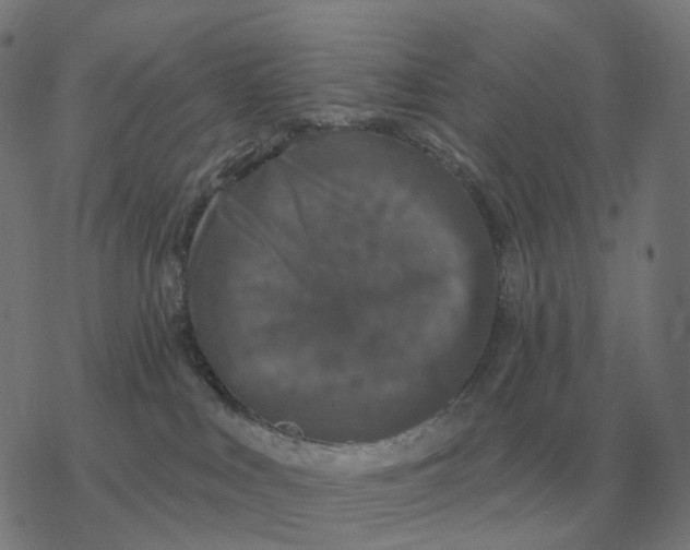 X0000077320043200611101509