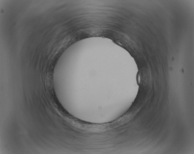 X0000077320044200611101509