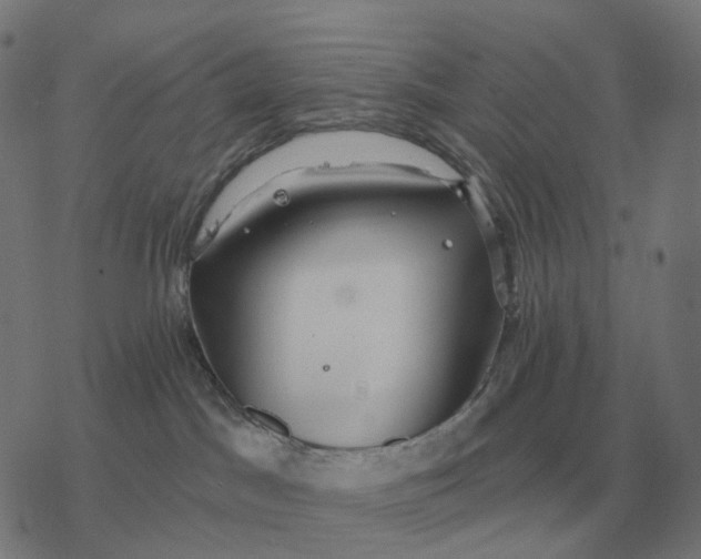 X0000077320045200611101509