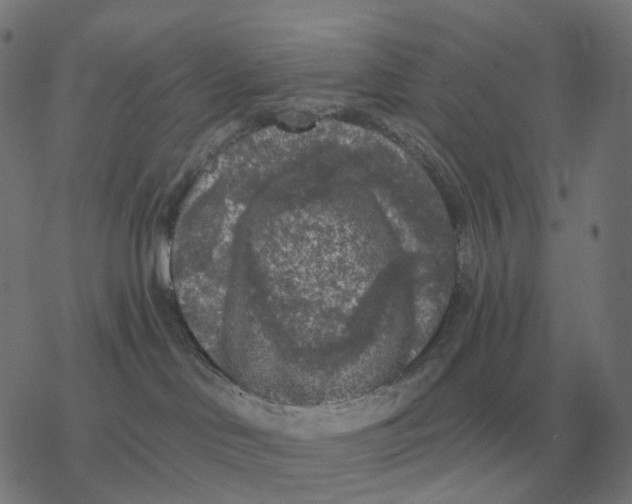 X0000077320046200611101509