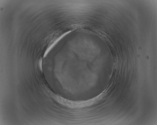 X0000077320047200611101509