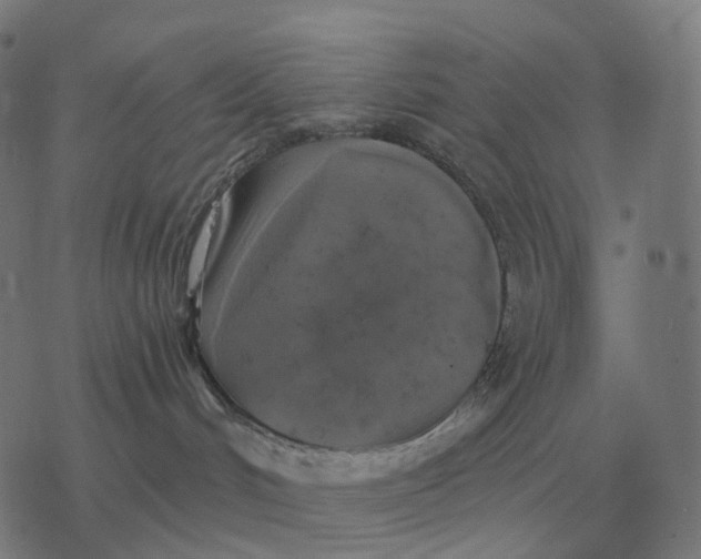 X0000077320048200611101509