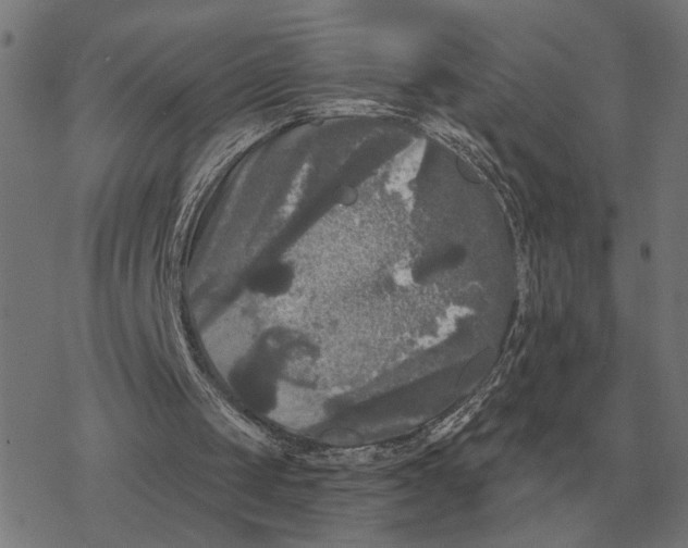 X0000077320049200611101508