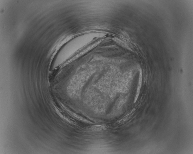 X0000077320050200611101508