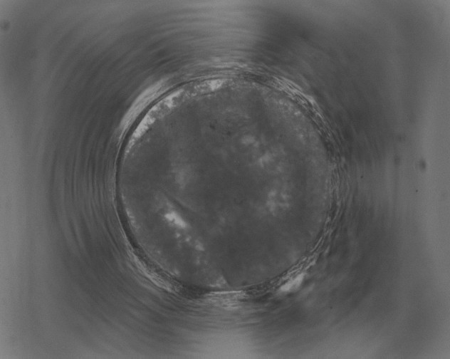 X0000077320051200611101508