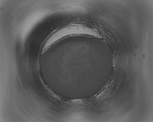 X0000077320052200611101508