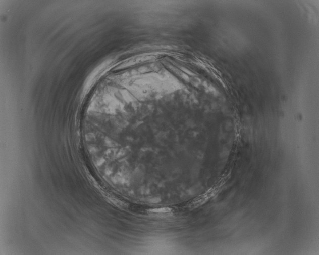 X0000077320053200611101508