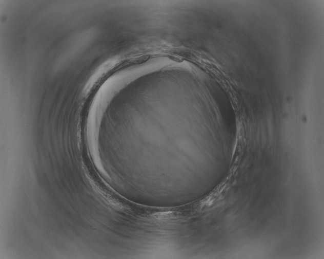 X0000077320054200611101508