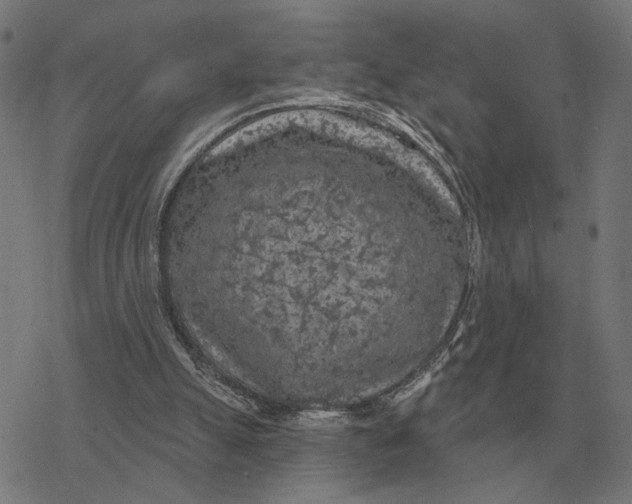 X0000077320055200611101508