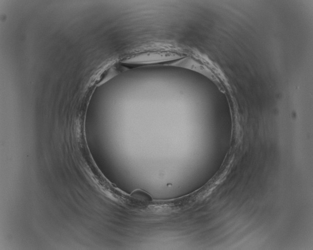 X0000077320057200611101508