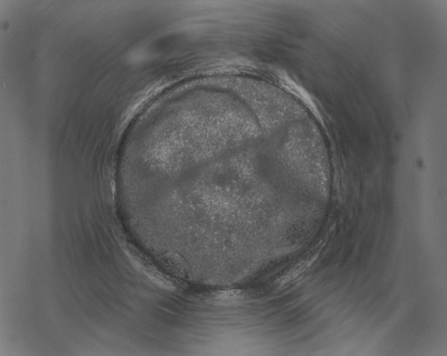 X0000077320059200611101508