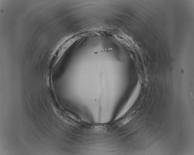 X0000077320060200611101508