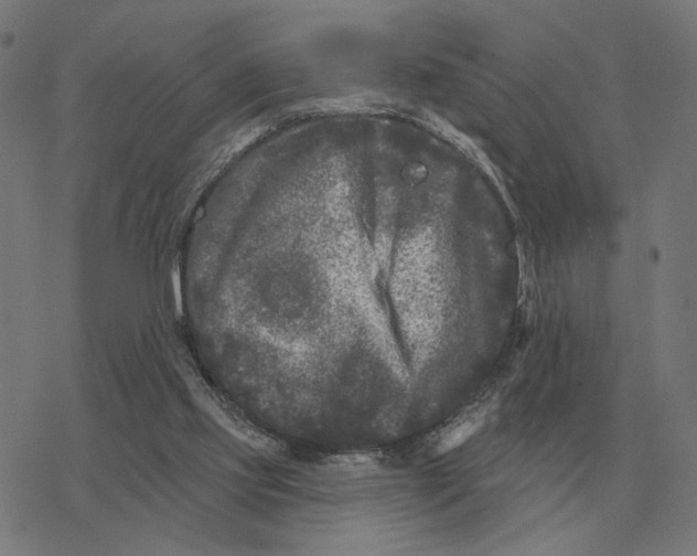 X0000077320061200611101508