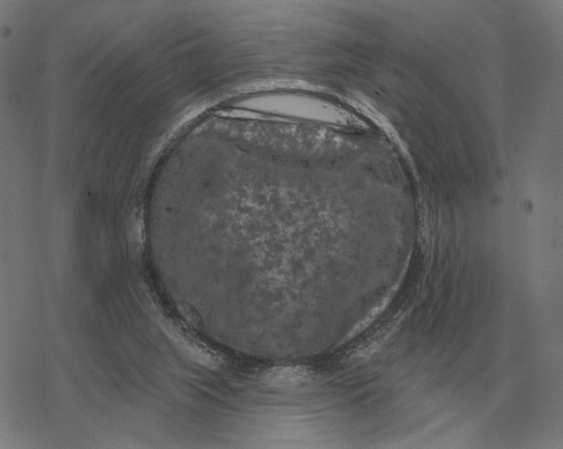 X0000077320063200611101508