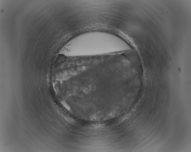 X0000077320065200611101508