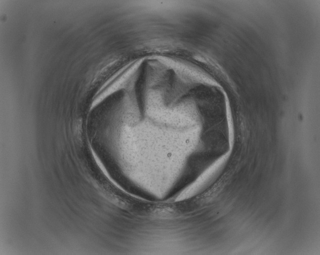 X0000077320066200611101508