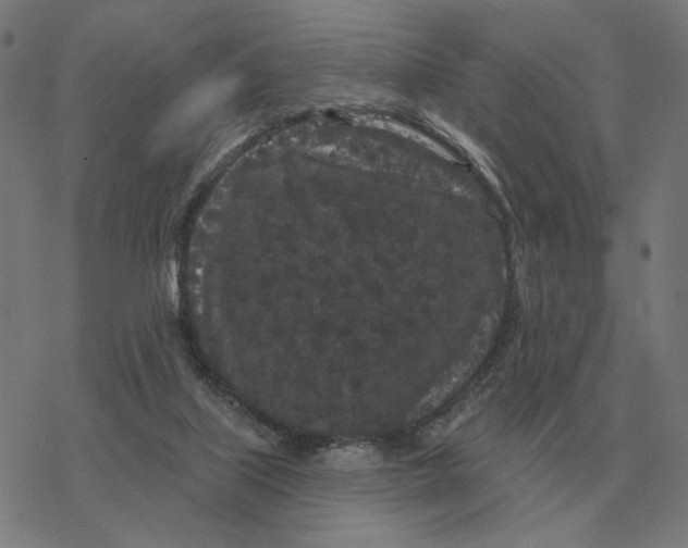 X0000077320067200611101508