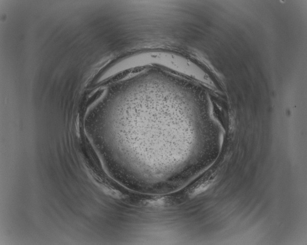 X0000077320068200611101508