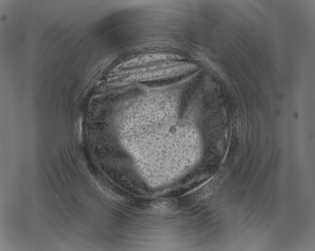 X0000077320070200611101508