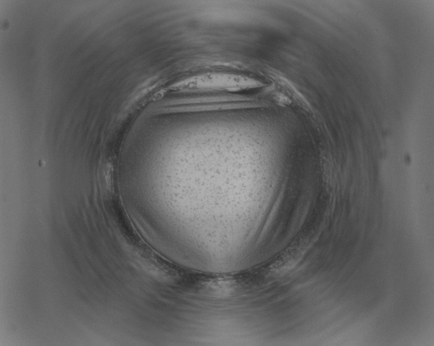 X0000077320071200611101508