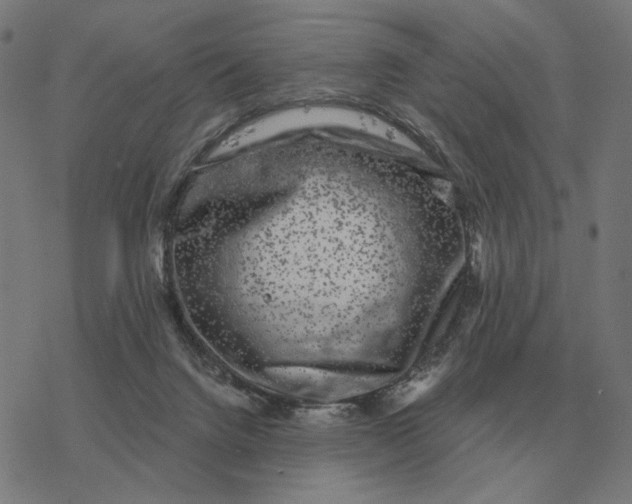 X0000077320072200611101508