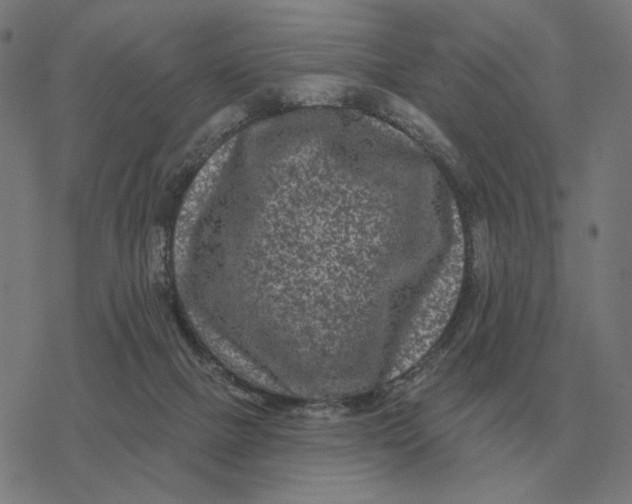 X0000077320073200611101508