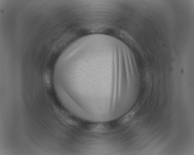 X0000077320074200611101509