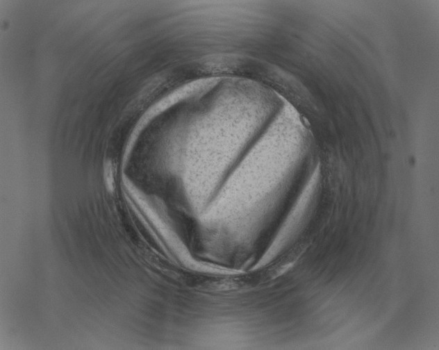 X0000077320075200611101509