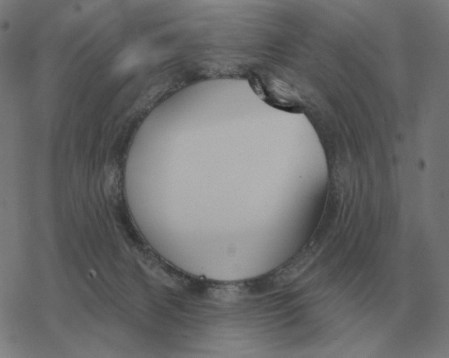 X0000077320079200611101509