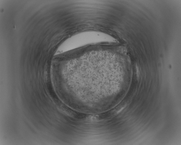 X0000077320080200611101509