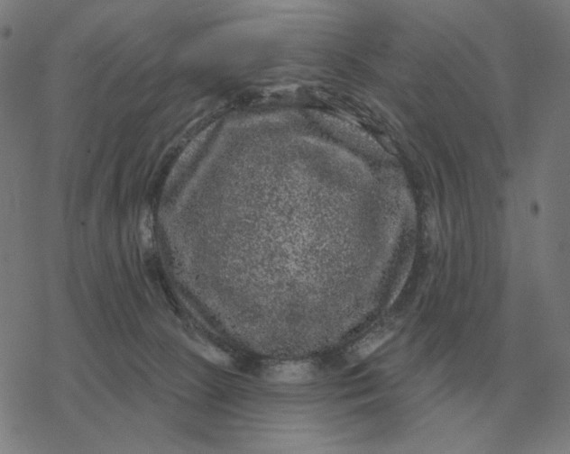 X0000077320081200611101509