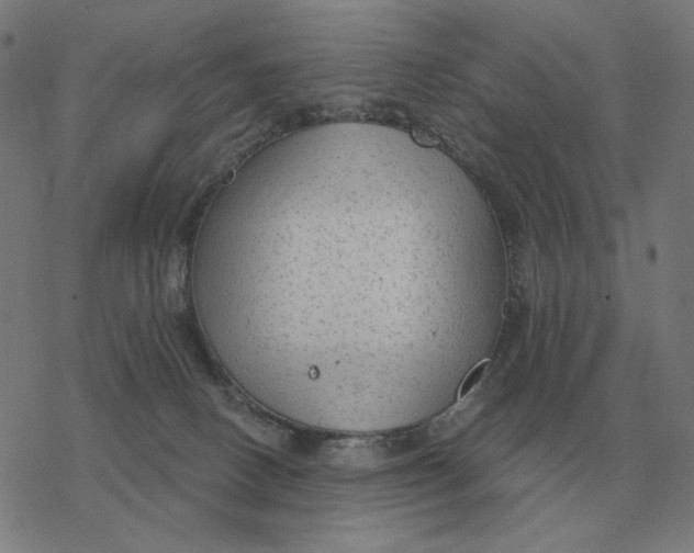 X0000077320082200611101509