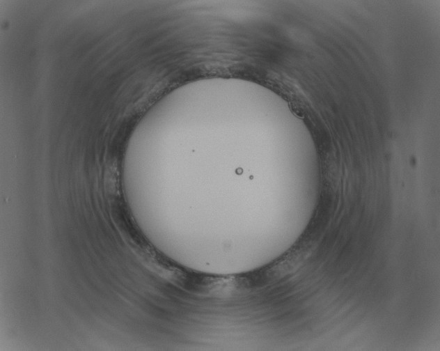 X0000077320083200611101509