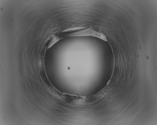 X0000077320084200611101509