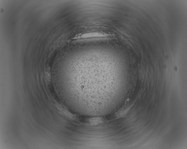 X0000077320085200611101509