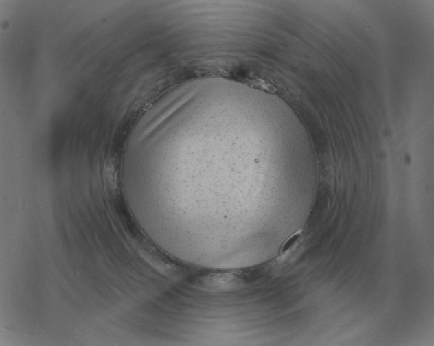 X0000077320086200611101509