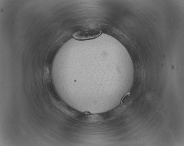 X0000077320087200611101509